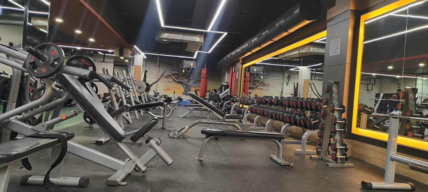 Rex Gym - Best Unisex Gyms Karnal