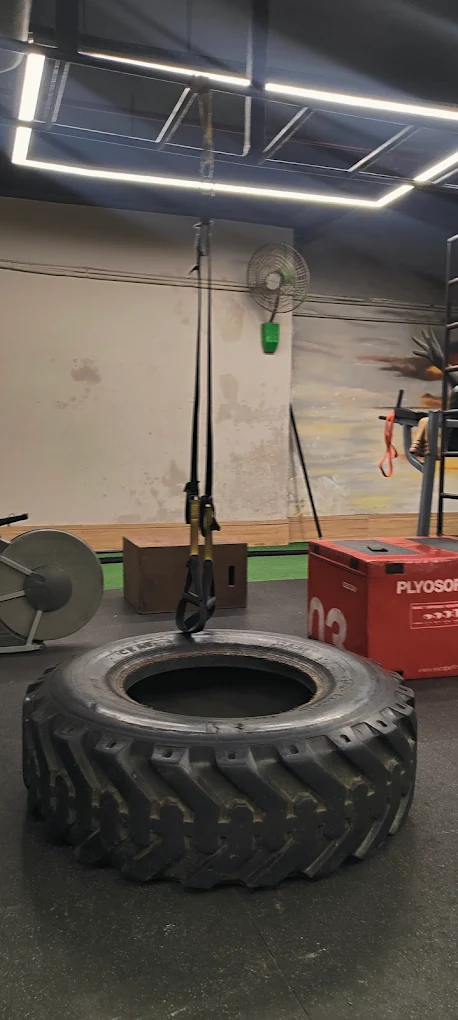 Rex Gym - Best Unisex Gyms Karnal