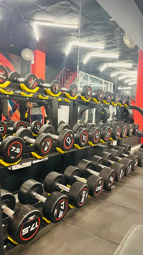 ROBUST THE GYM Panchkula