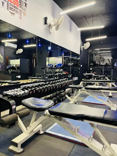 ROBUST THE GYM Panchkula