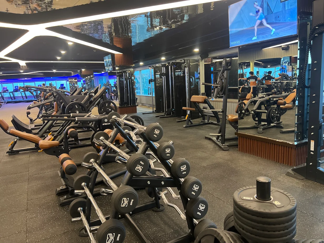 SS Royal Gym Ludhiana