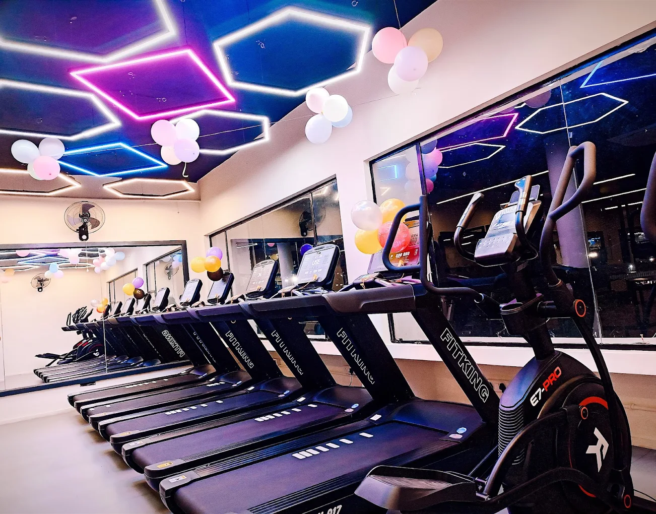 The Bodyline Gym Panchkula