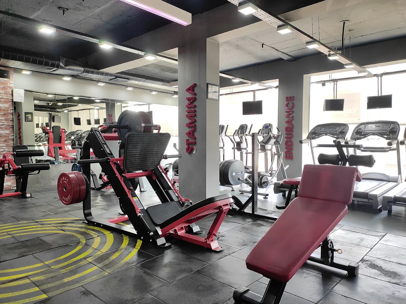The Gym Health Planet Fitness Centre Unisex Gym Ludhiana