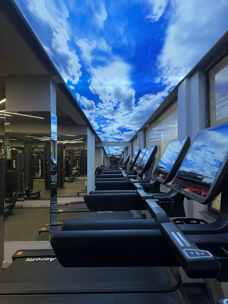 The Impirium Flex Gym Mohali