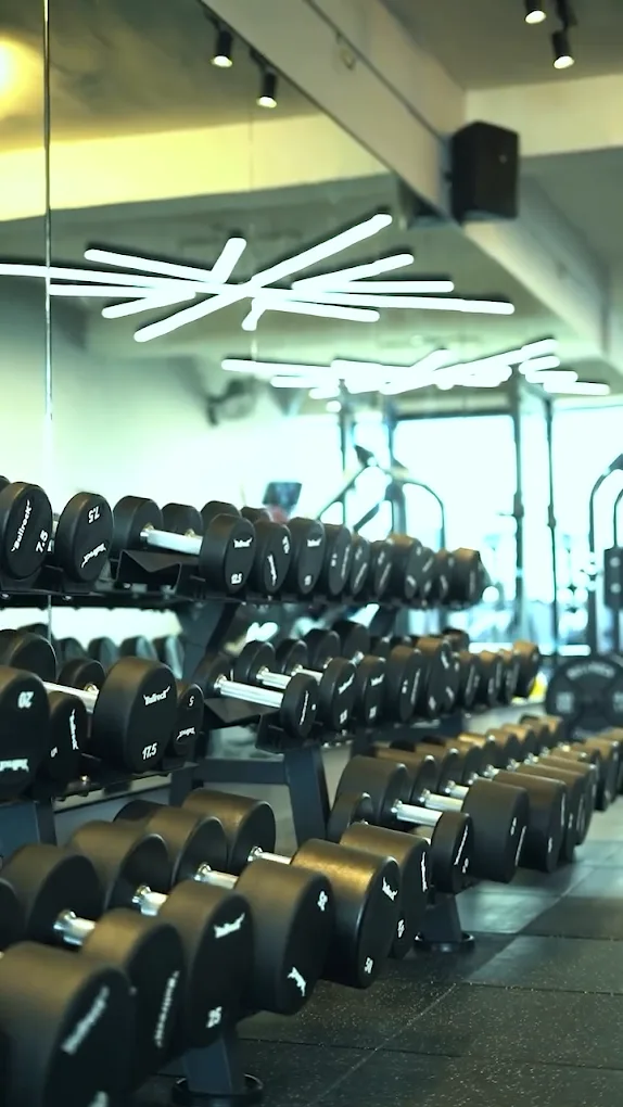 The Impirium Flex Gym Mohali