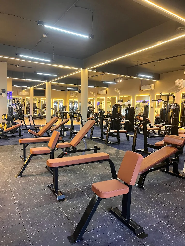 The Walk Gym Chandigarh