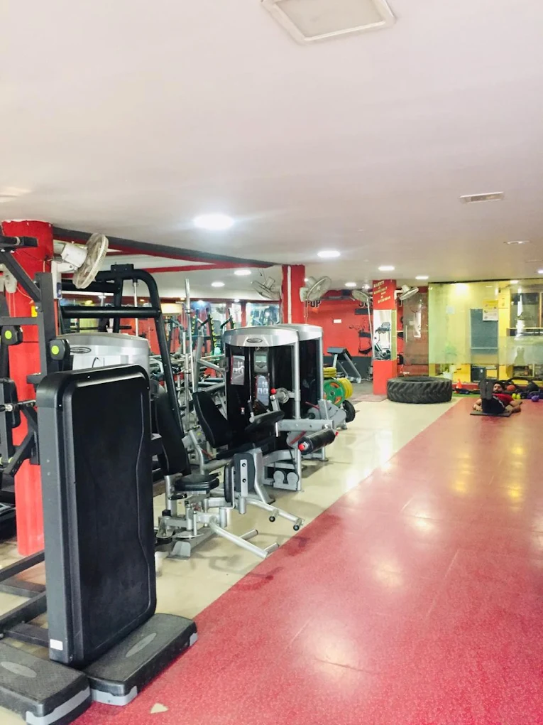 The Workout Gym Zirakpur