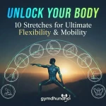 Unlock Your Body: 10 Stretches for Ultimate Flexibility & Mobility