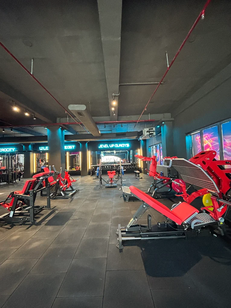 Wolf'N'Lean Gym  Mohali