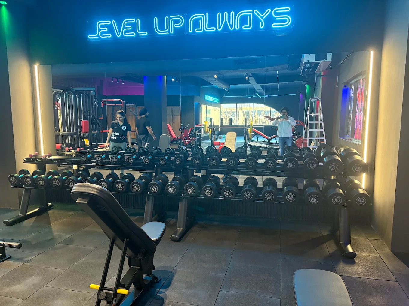 Wolf'N'Lean Gym  Mohali